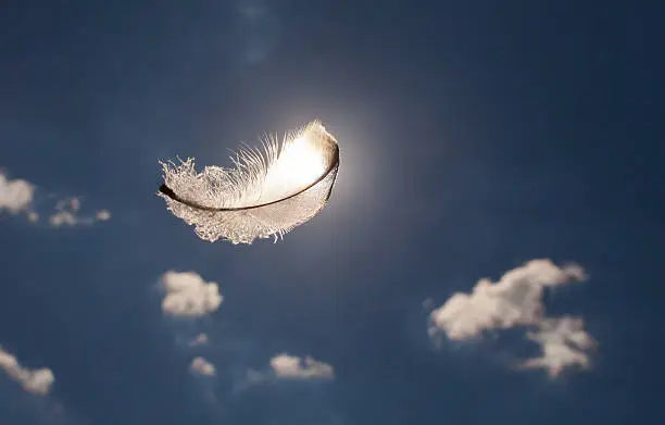 Feather floating in the sky. Religion concept.