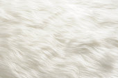 Close-up of white fur texture background