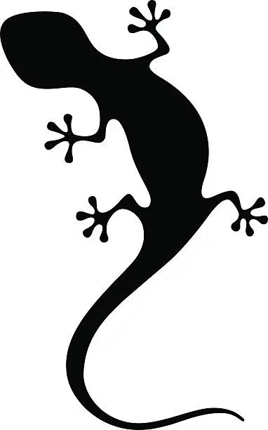 Vector illustration of lizard