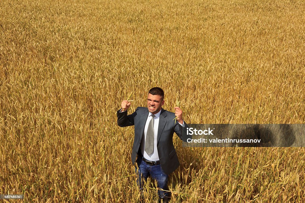 Empresário irritado fora - Royalty-free Agricultor Foto de stock