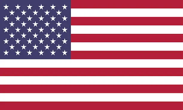 Vector illustration of American Flag (Official Colors)