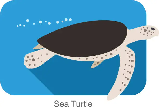 Vector illustration of Sea Turtle swimming in the sea, flat illustration vector