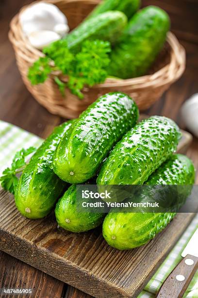 Cucumbers Stock Photo - Download Image Now - Agriculture, Close-up, Commercial Kitchen