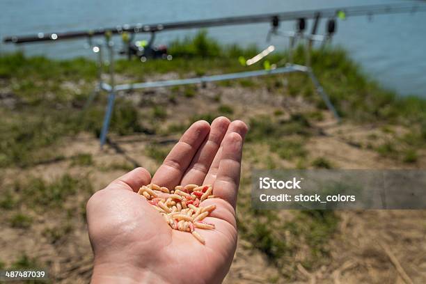 Fishing Worms Stock Photo - Download Image Now - 30-39 Years, Adult, Adults Only