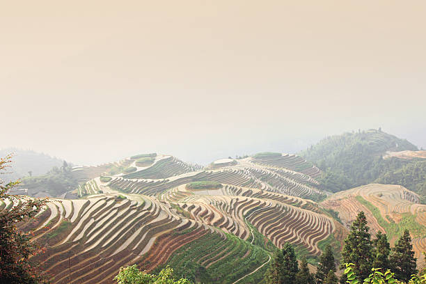 istock Longji rice terraces, Guangxi province, China 487487795