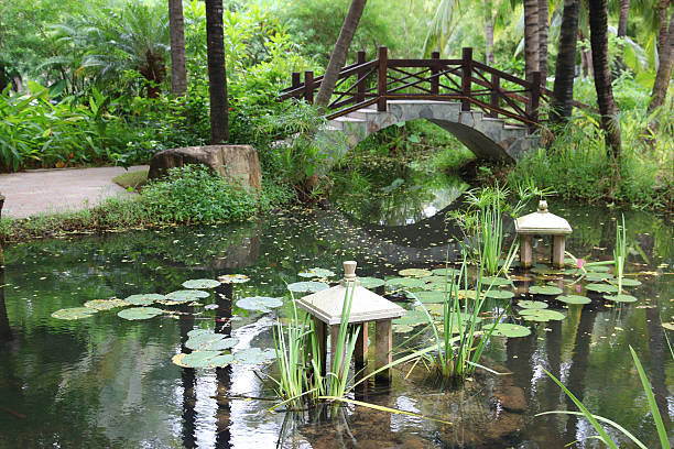istock classic chinese garden, south China 487487867