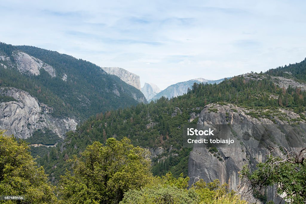 Yosemite Valley Landscape in Yosemite National Park, California, USA. Half Dome in the back of the picture is a granite dome at the eastern end of Yosemite Valley. It is Yosemite's most familiar rock formation. The granite crest rises more than 1444 meter above the valley floor. 2015 Stock Photo