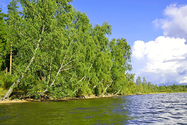 istock The shore of the lake. 487489908