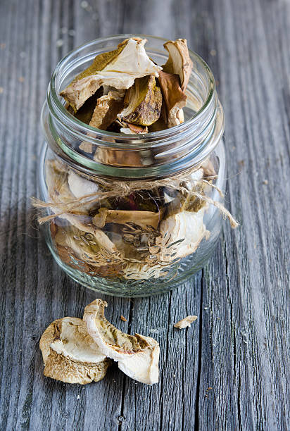 istock Dried porcini mushrooms 487490117