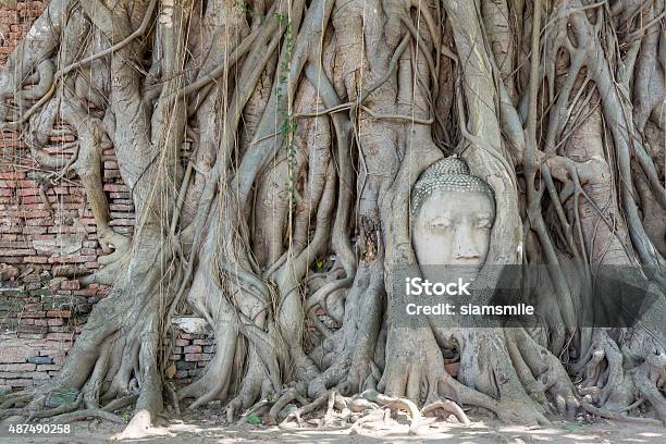 Buddhas Head In Tree Roots At Mahathat Temple In Thailand Stock Photo - Download Image Now