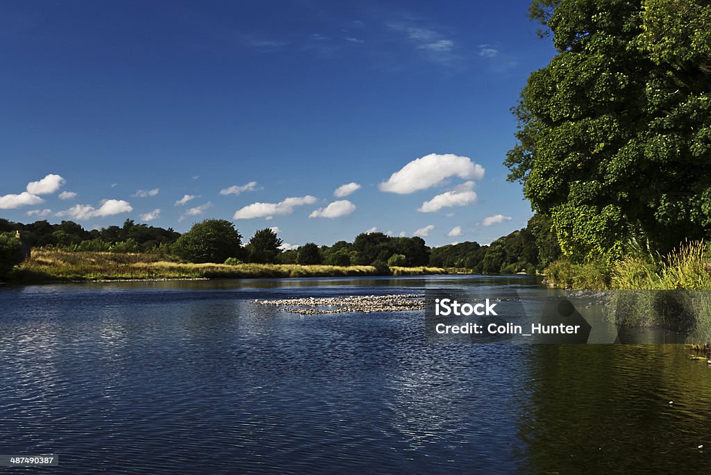 Fluss Dee seichten Gewässer. - Lizenzfrei Baum Stock-Foto