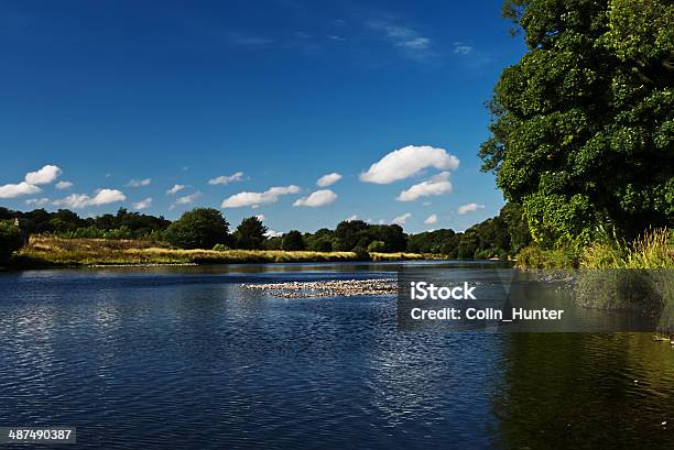 Fluss Dee Seichten Gewässer Stockfoto und mehr Bilder von Baum - Baum, Fluss, Fluss Dee