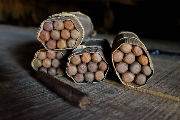 isolated cigars on white background