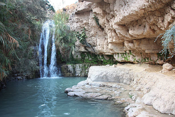 istock Waterfall in national park Ein Gedi 487491425