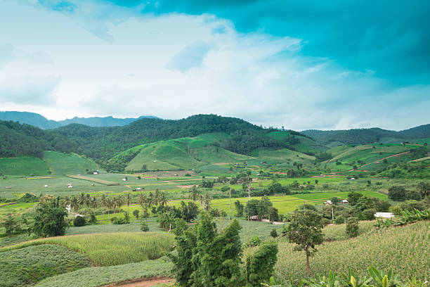 istock Views of the mountains and crops 487491864