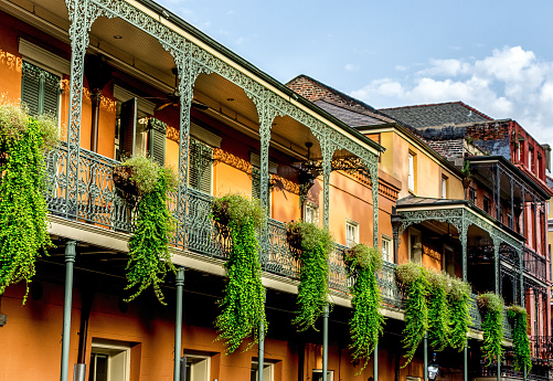 New Orleans LA USA 6/30/15:  Balconies in the French Quarter with plants hanging off of them.