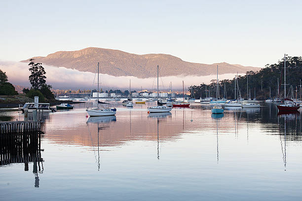 fog bank - tazmanya stok fotoğraflar ve resimler