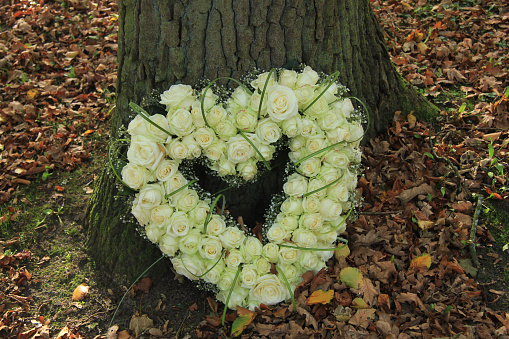 white roses in a heart shaped sympathy arrangement