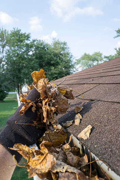 istock Cleaning Leaves Out Of A Gutter 487500204