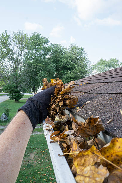 istock Cleaning Dry Leaves Out Of A Gutter 487500210
