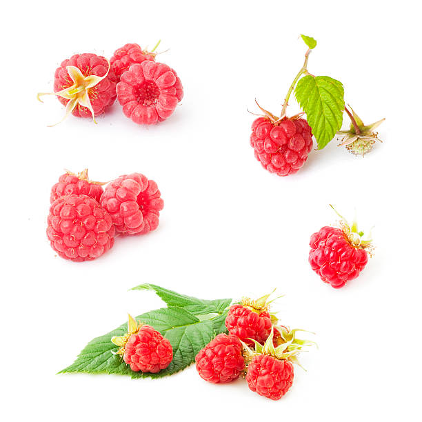 新鮮なラズベリー - raspberry berry fruit gourmet isolated ストックフォトと画像