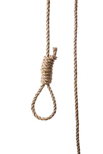 Hangman's Noose Real Frayed Rope Isolated on White Authentic frayed roope hangman's noose isolated on white hangmans noose stock pictures, royalty-free photos & images