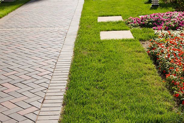 acera en el jardín - single lane road footpath flower formal garden fotografías e imágenes de stock