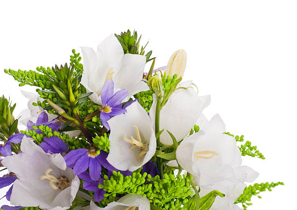 istock Bouquet of white and blue bells on a white background 487505465