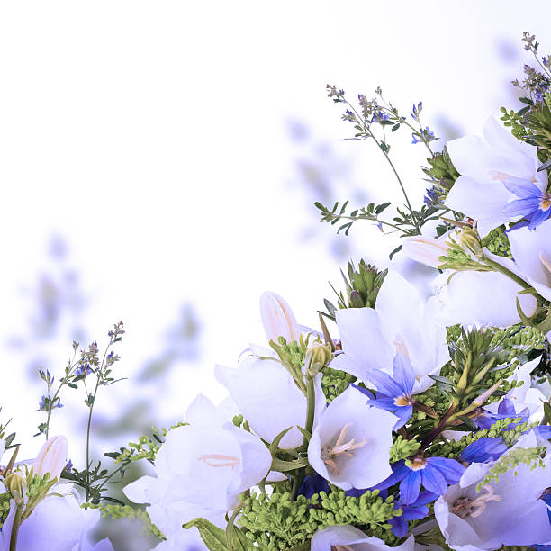 istock Bouquet of white and blue bells on a white background 487505467