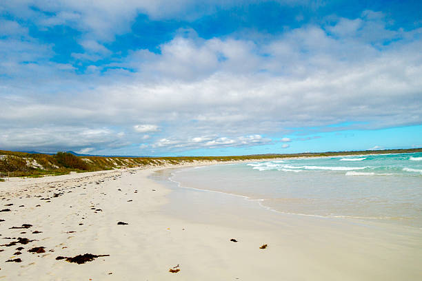 istock beautiful peaceful beach in santa cruz galapagos 487505990