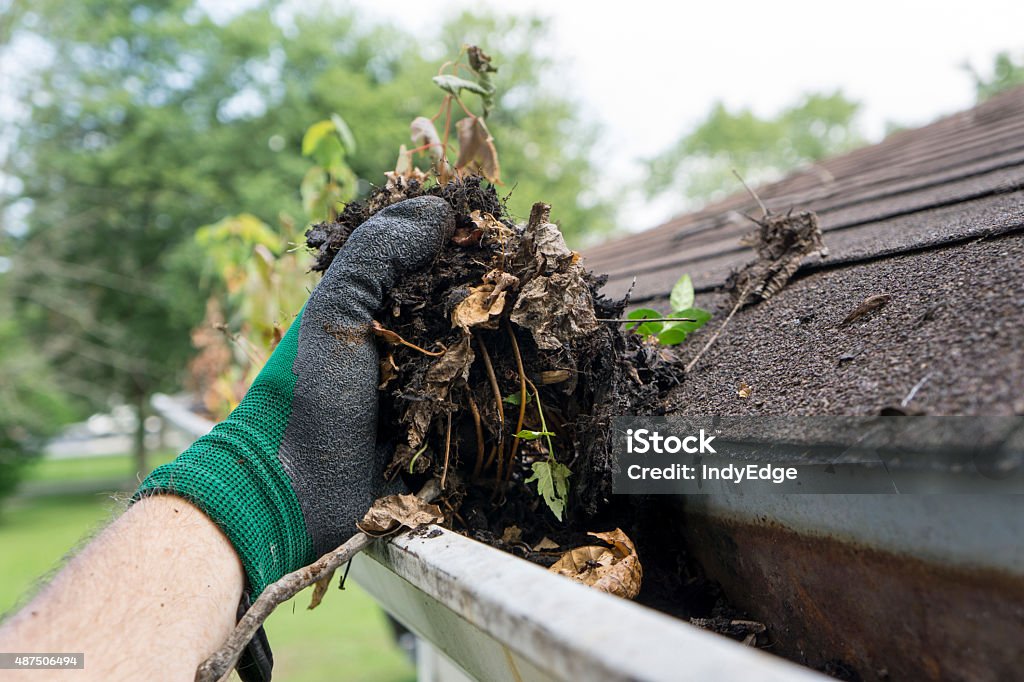 Cleaning Gutters During The Summer Cleaning gutters during the summer time. Roof Gutter Stock Photo