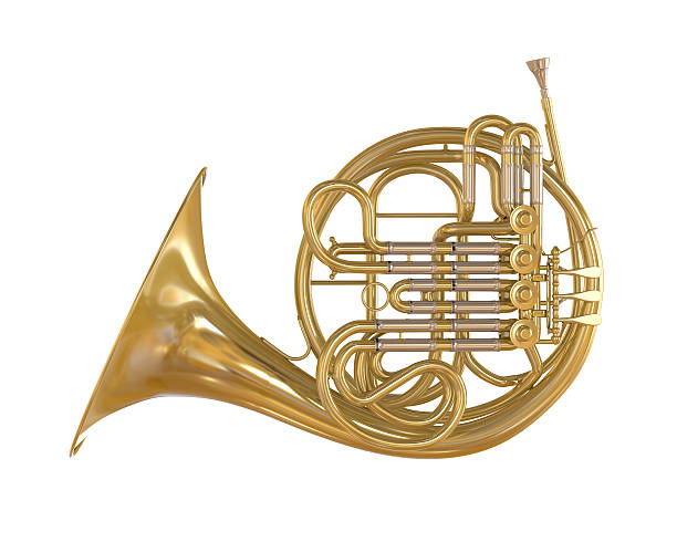 waldhorn isoliert - trumpet musical instrument music brass stock-fotos und bilder