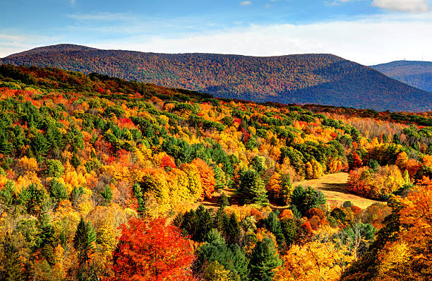 automne dans la région des berkshires dans le massachusetts - berkshire hills photos et images de collection