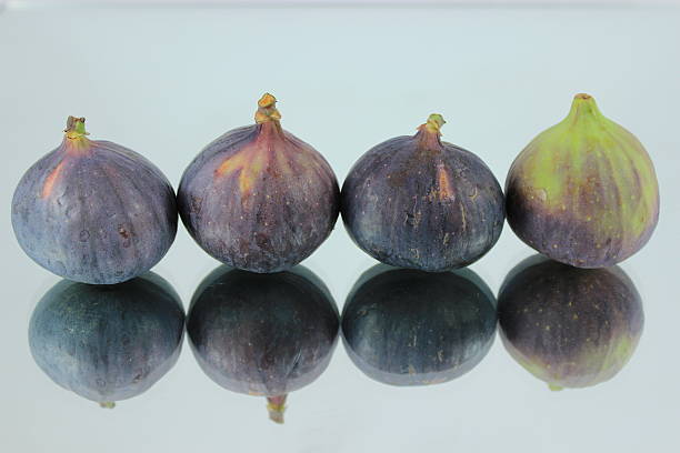 Fresh Figs In A Line stock photo