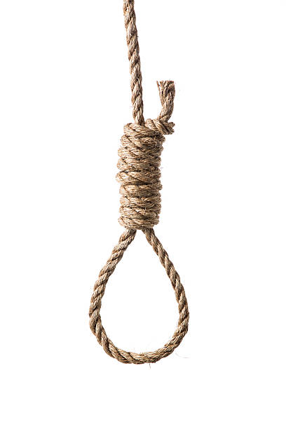 istock Hangman's Noose Real Frayed Rope Isolated on White 487507742