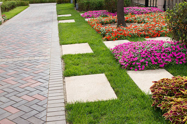 acera en el jardín - single lane road footpath flower formal garden fotografías e imágenes de stock