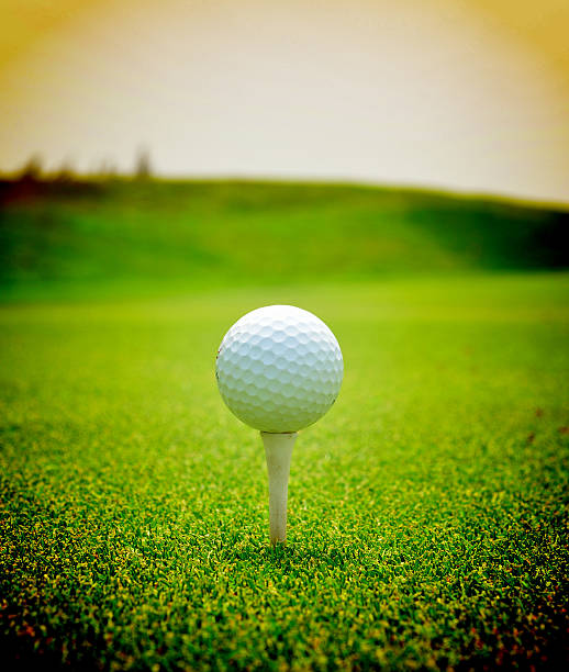 istock Close up of golf ball with tee on grass 487512973