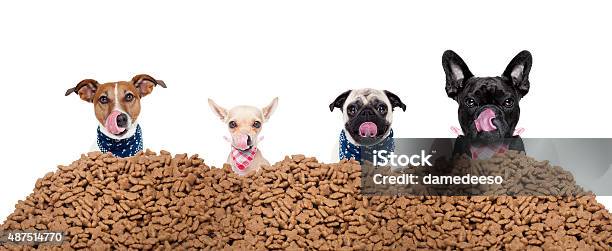 Group Of Dogs Behind Mound Food Stock Photo - Download Image Now - Dog Biscuit, Dog, Image Montage
