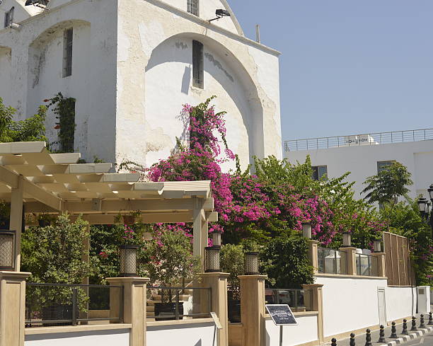 One bougainvillea from the window stock photo