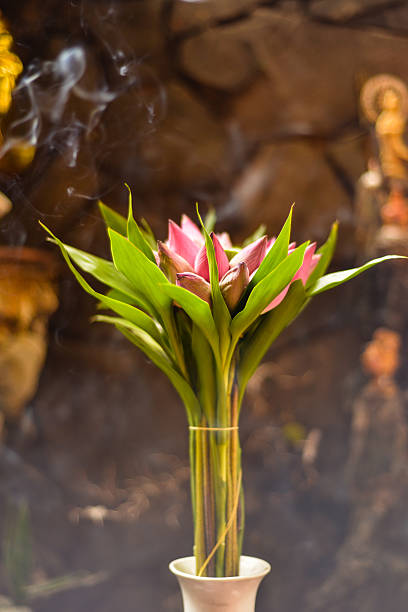 Pink Lotus Flowers and Incense at Pagoda, Vietnam This is a vertical, closeup shot of pink lotus flowers and incense at a Buddhist pagoda in Ho Chi Minh City, Vietnam. The flowers and burning incense are given as offerings at this place of worship. tao of herbs pictures stock pictures, royalty-free photos & images
