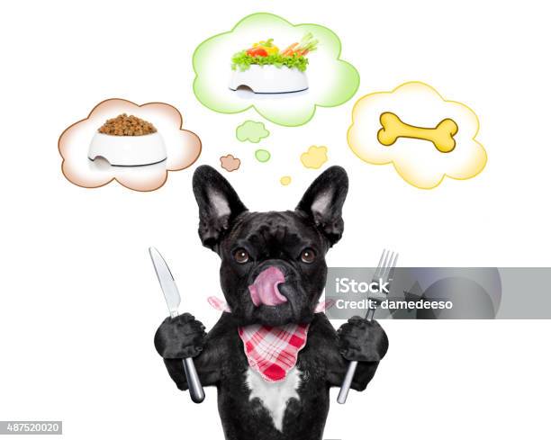 Hungry Dog With Speech Bubble Stock Photo - Download Image Now - Dog, Dog Bone, Raw Food