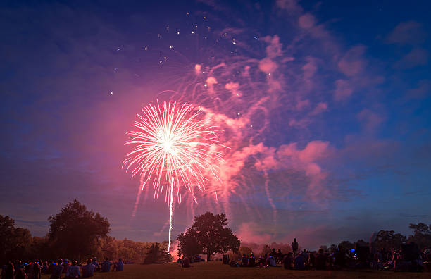 istock People looking at fireworks in honor of Independence Day 487520706
