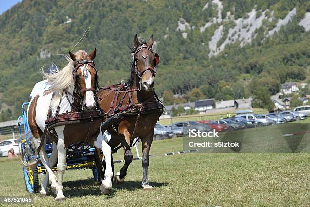 Carretto Con Cavalli - Fotografie stock e altre immagini di Animale - Animale, Capitali internazionali, Carretta