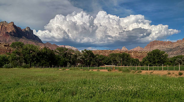 istock Large cumulo-nimbus storm cloud over Zion National Park Utah 487521524