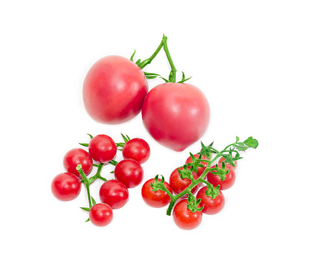 istock Two branches of cherry tomato and two conventional tomatoes 487521700