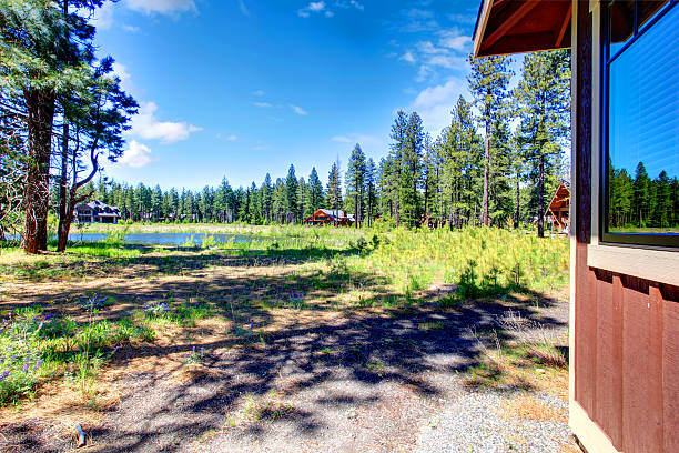 istock Beautiful lake on a sunny summer day 487522959