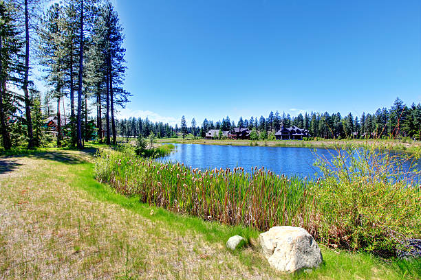istock Beautiful lake on a sunny summer day 487524079