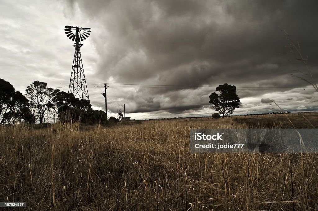 Sombres et survoltés ! Place à la ferme - Photo de Anxiété libre de droits