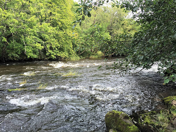 istock View of River Usk in Llangynidr 487524826