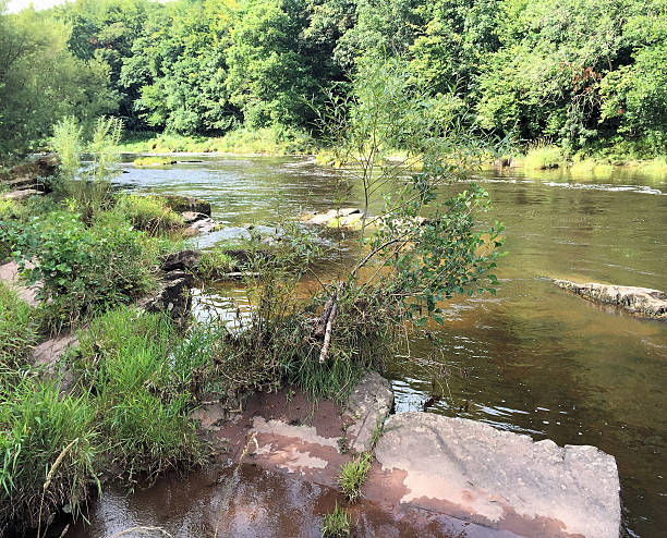 vista do rio em llangynidr usk - river usk - fotografias e filmes do acervo